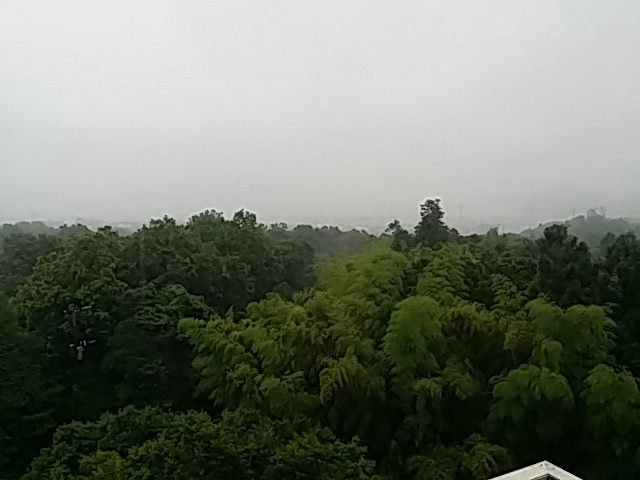 20140706-IMG_20140706_173943.jpg 20140706-IMG_20140706_173943.jpg